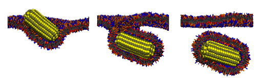 coarse_grained_research-uptake