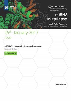 Lecture: miRNA in Epilepsy