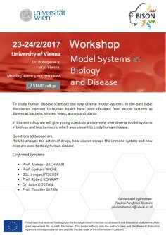 BISON Workshop: Model Systems in Biology and Disease