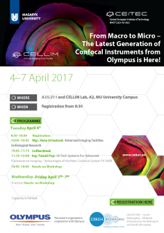 From Macro to Micro – the Latest Generation of Confocal Instruments from Olympus is Here!