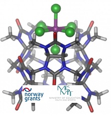 Project financed through Norway Funds: "Structural analysis of supramolecular systems" is finished.