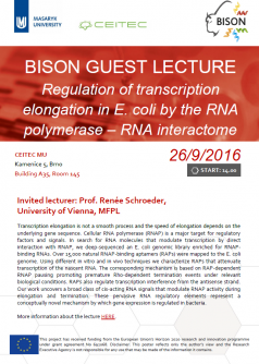 Lecture: Regulation of transcription elongation in E. coli by the RNA polymerase – RNA interactome