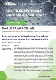 Advanced Materials and Nanotechnology Seminar Series 2017: Alba MARCELLAN