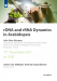 Lecture: rDNA and rRNA Dynamics in Arabidopsis