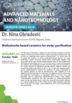 Advanced Materials and Nanotechnology Seminar Series 2018: Dr Nina Obradović