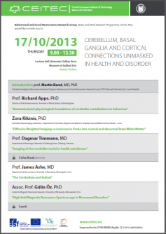 Workshop: Cerebellum, Basal, Ganglia and Cortical Connections Unmasked in Health and Disorder