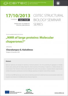 Structural Biology Seminar Series: NMR of large proteins: Molecular chaperones?