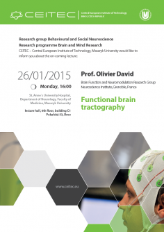 Lecture: Functional brain tractography