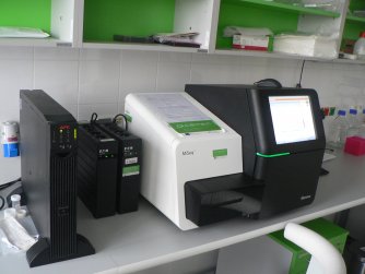 Illumina MiSeq