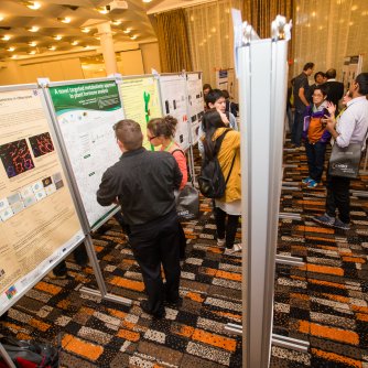 EMBO Poster Session - Signalling in Plant development