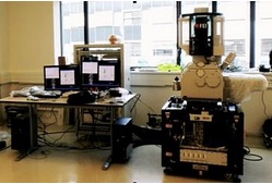 Vědci v CEITECu získali nejmodernější elektronové mikroskopy od FEI