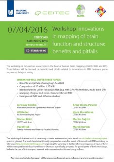 Workshop: Innovations in mapping of brain function and structure: benefits and pitfalls