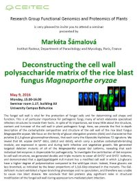 Deconstructing the cell wall polysaccharide matrix of the rice blast fungus Magnaporthe oryzae