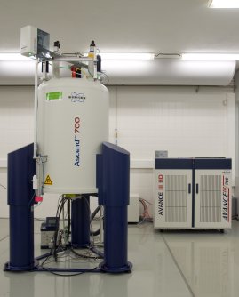 700 MHz NMR spectrometer Bruker Avance III HD for multinuclear applications in liquids and solids