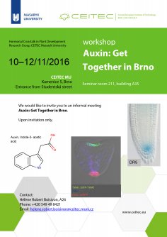Workshop Auxin: Get Together in Brno