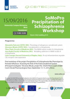 SoMoPro  Precipitation of Schizophrenia Workshop