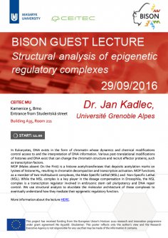 GUEST LECTURE: Structural analysis of epigenetic regulatory complexes