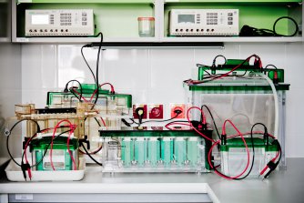 Vertical Gel Electrophoretic Chamber