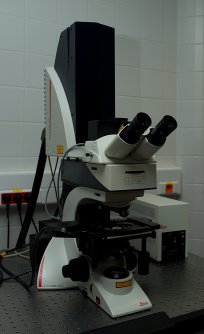 Laser scanning confocal microscope Leica SP E