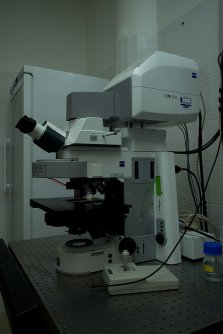Laser scanning confocal microscope Zeiss LSM 700