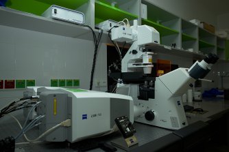 Laser scanning confocal microscope Zeiss LSM 780 with Airyscan detector