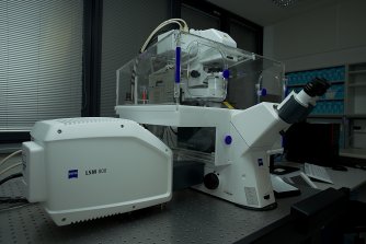 Laser scanning confocal microscope Zeiss LSM 800