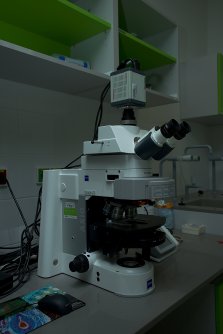 Upright fluorescence microscope Zeiss AxioImager.Z2
