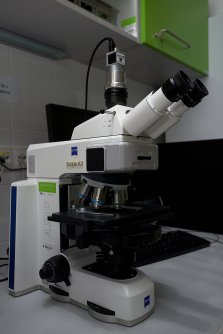 Upright histological microscope Zeiss Axioscope.A1 VisiView