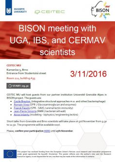 BISON meeting with UGA, IBS, and CERMAV scientists
