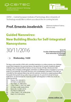 Lecture Guided Nanowires: New Building Blocks for Self-Integrated Nanosystems
