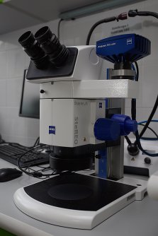 Steremicroscope Zeiss Discovery.V8